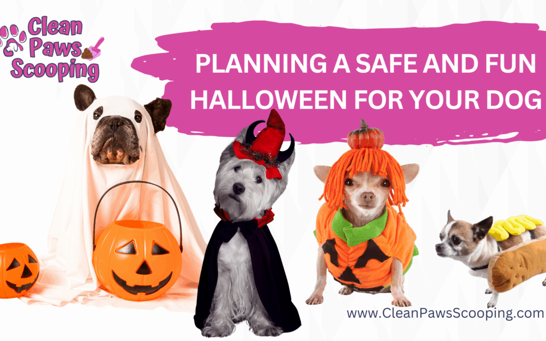 Planning a Safe and Fun Halloween for Your Dog