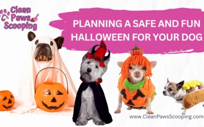Planning a Safe and Fun Halloween for Your Dog