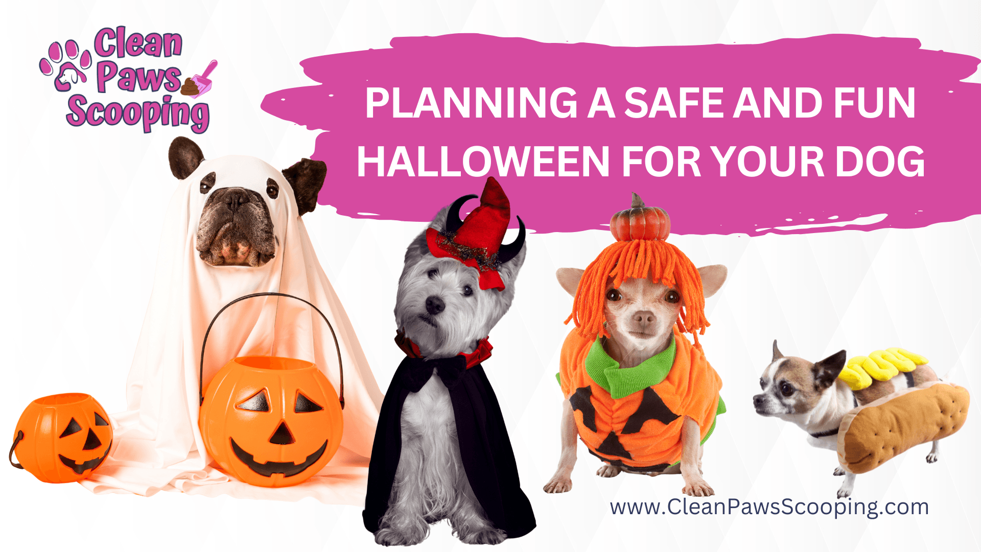 Planning_a_Safe_and_Fun_Halloween_for_Your_Dog (1)