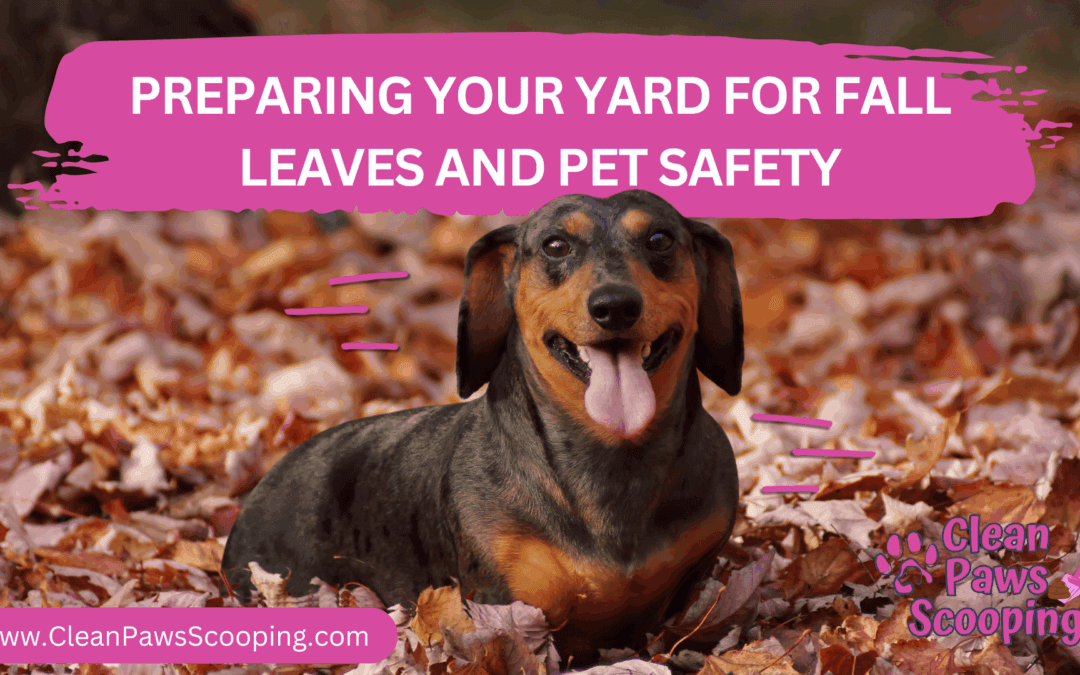 Preparing Your Yard for Fall Leaves and Pet Safety