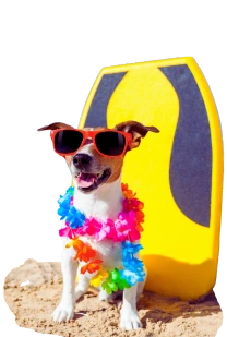 Summer Dog Picture For Poop Scooping Company Summer Dog Picture For Poop Scooping Company