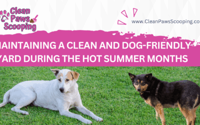 Maintaining a Clean and Dog-Friendly Yard During the Hot Summer Months