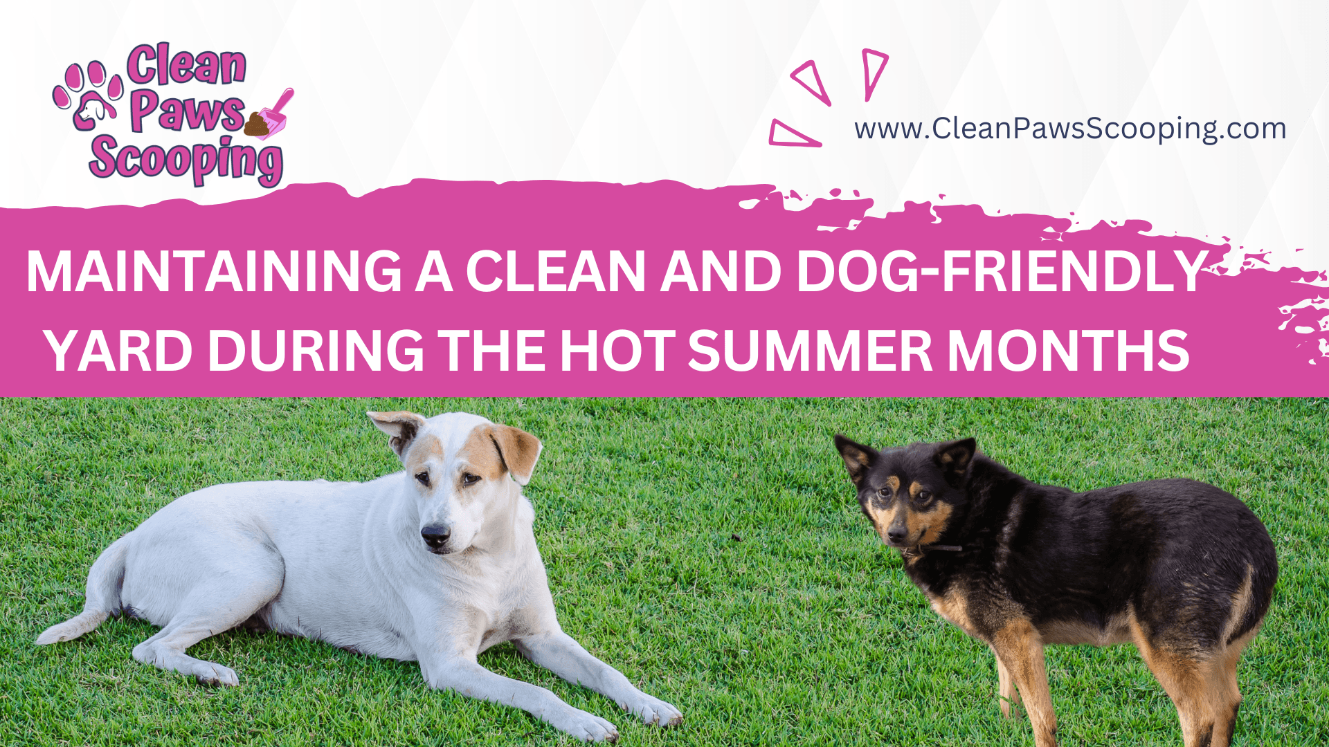 Maintaining_a_Clean_and_Dog-Friendly_Yard_During_the_Hot_Summer_Months