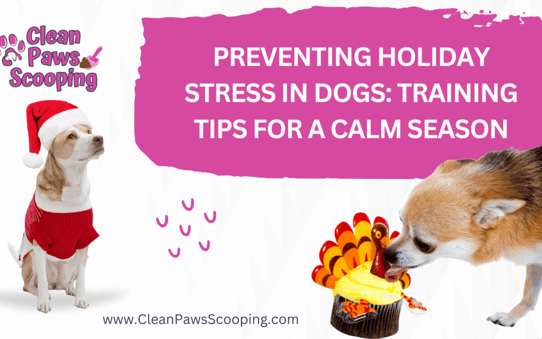 Preventing Holiday Stress in Dogs: Training Tips for a Calm Season