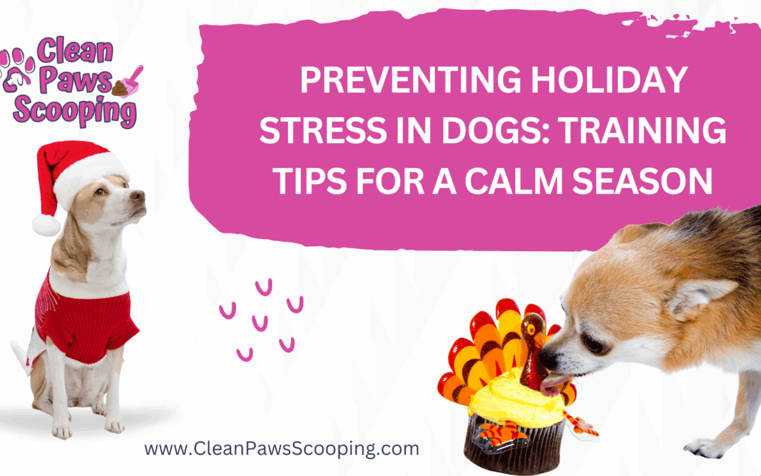 Preventing Holiday Stress in Dogs: Training Tips for a Calm Season