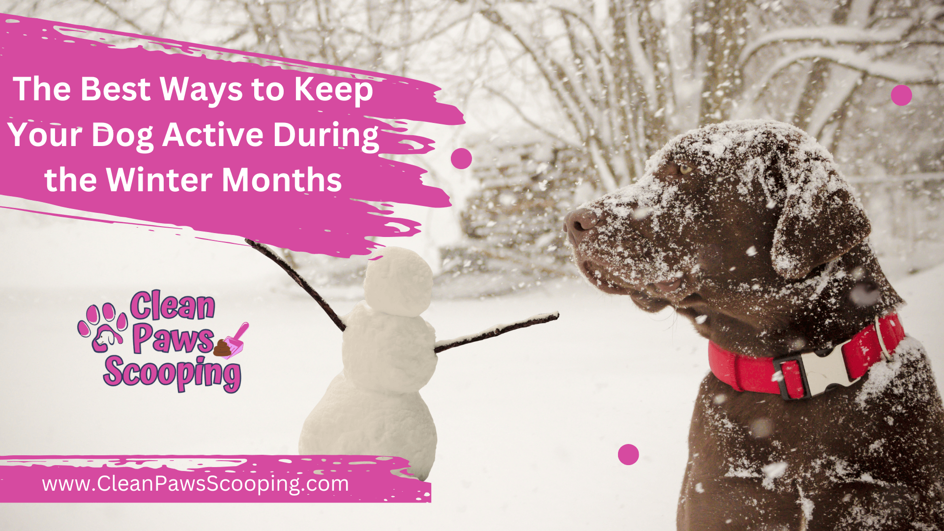 The_Best_Ways_to_Keep_Your_Dog_Active_During_the_Winter_Months