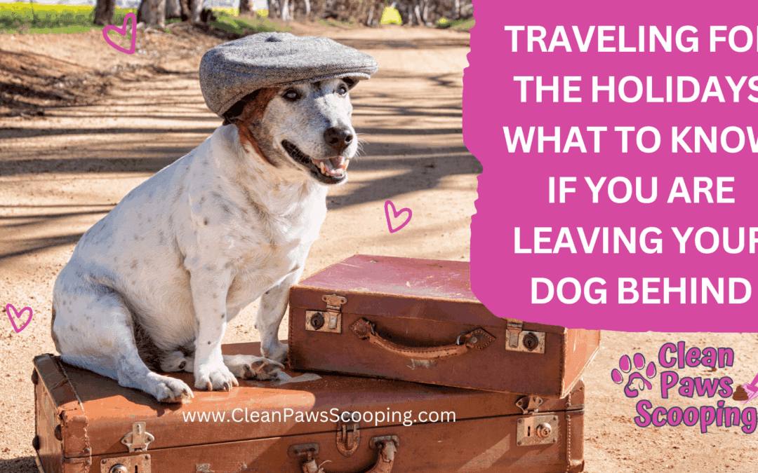 Traveling for the Holidays What to Know if You Are Leaving Your Dog Behind