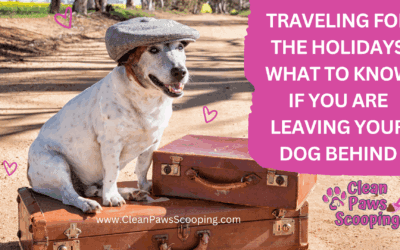Traveling for the Holidays What to Know if You Are Leaving Your Dog Behind
