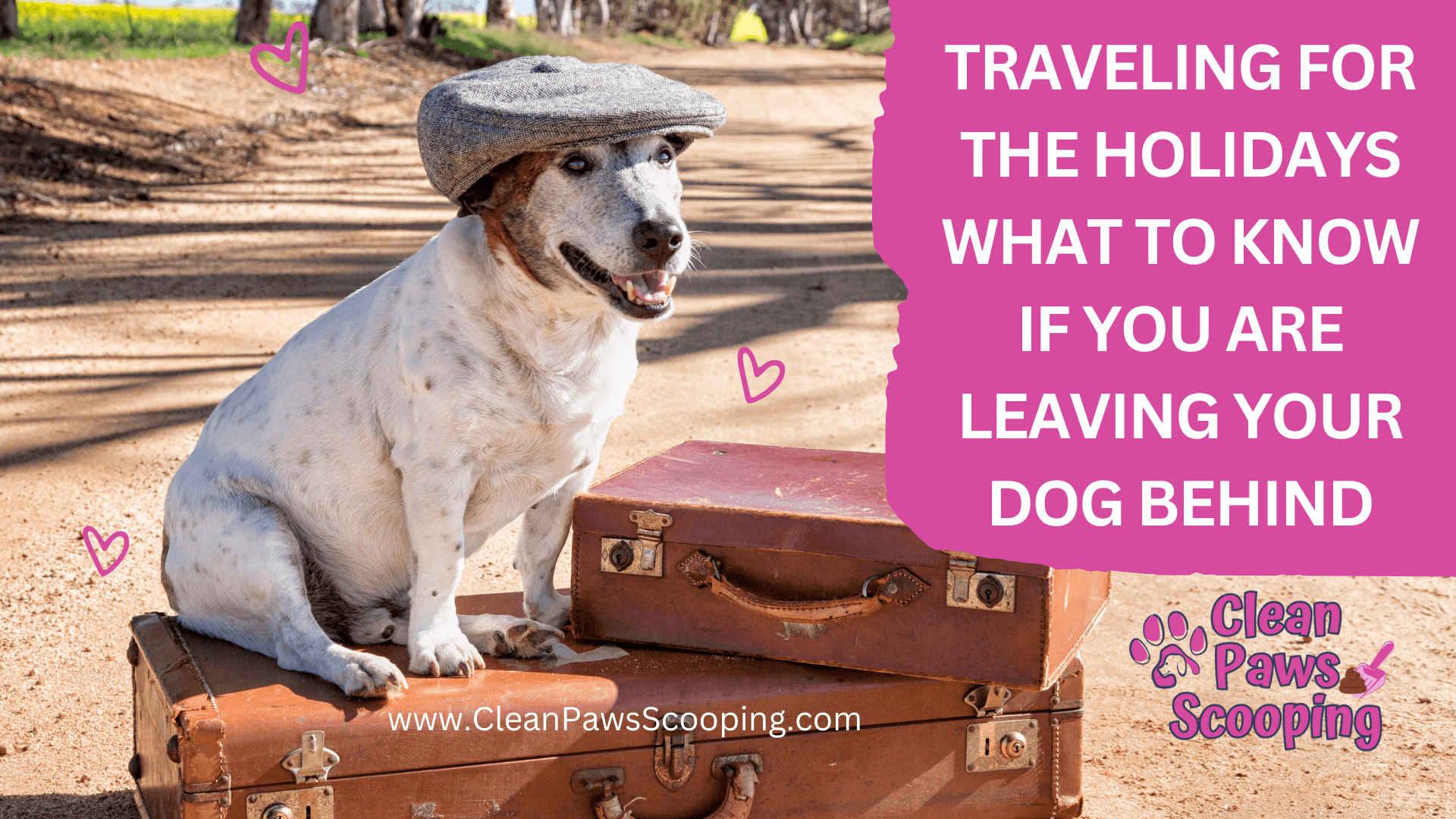 Traveling_for_the_Holidays_What_to_Know_if_You_Are_Leaving_Your_Dog_Behind