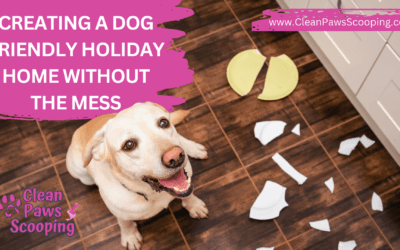 Creating a Dog Friendly Holiday Home Without the Mess