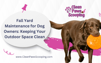Fall Yard Maintenance for Dog Owners Keeping Your Outdoor Space Clean