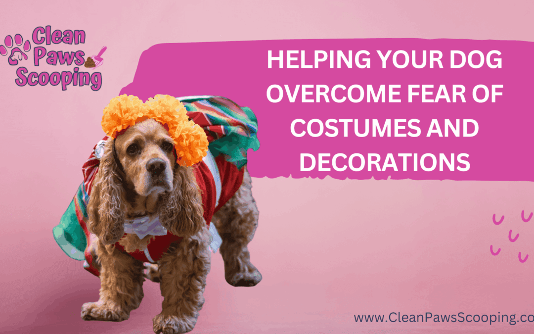 Helping Your Dog Overcome Fear of Costumes and Decorations