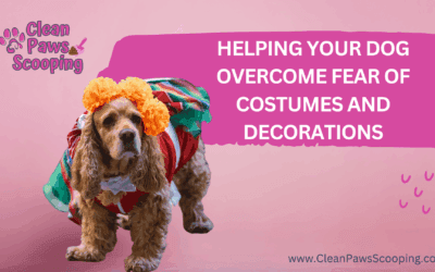 Helping Your Dog Overcome Fear of Costumes and Decorations