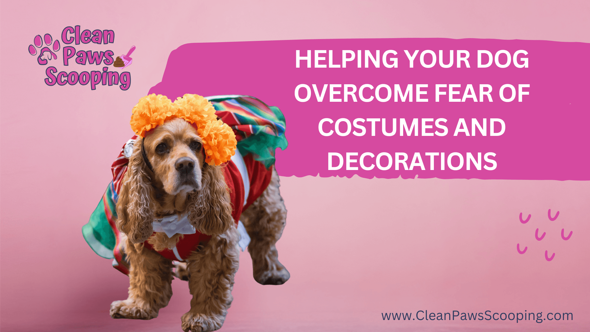 Helping_Your_Dog_Overcome_Fear_of_Costumes_and_Decorations