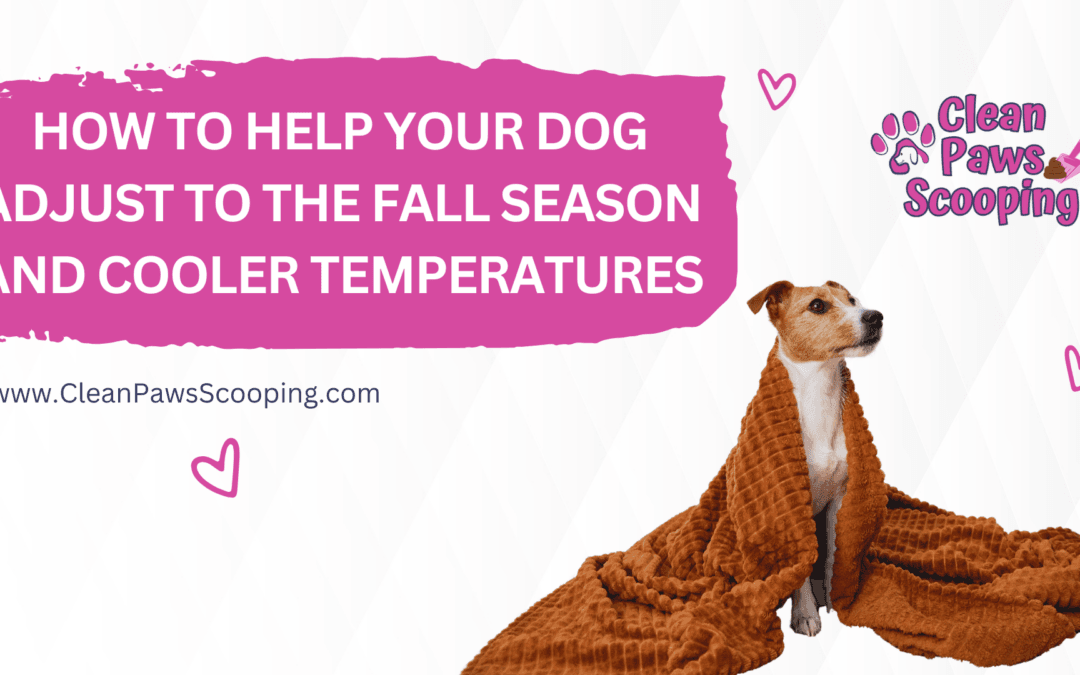 How to Help Your Dog Adjust to the Fall Season and Cooler Temperatures
