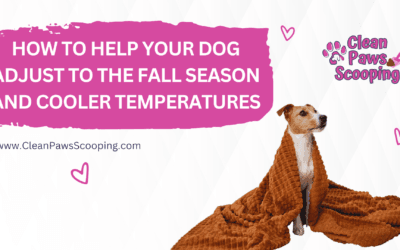 How to Help Your Dog Adjust to the Fall Season and Cooler Temperatures