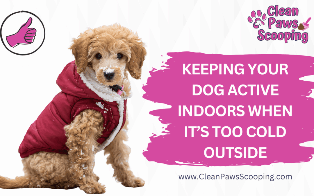 Keeping Your Dog Active Indoors When It’s Too Cold Outside