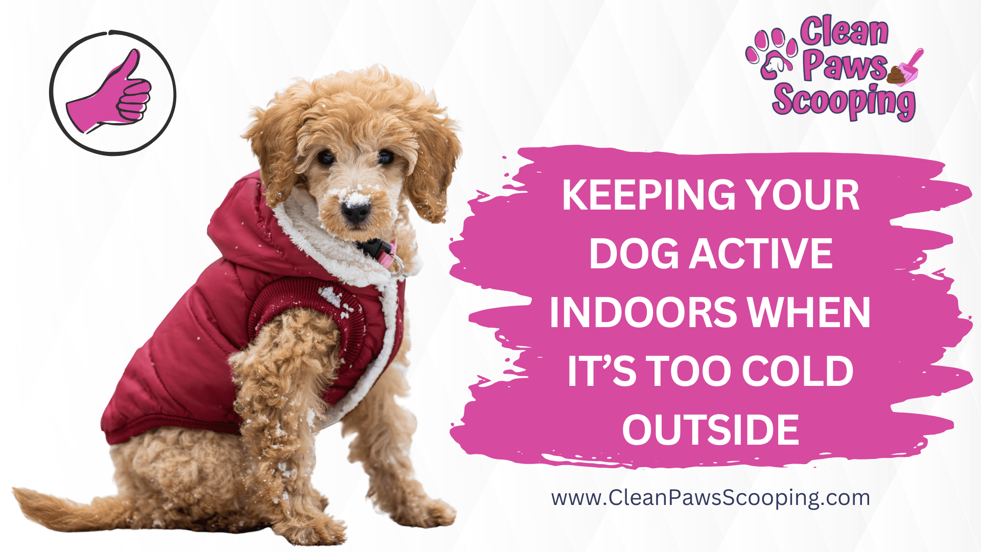 Keeping_Your_Dog_Active_Indoors_When_Its_Too_Cold_Outside