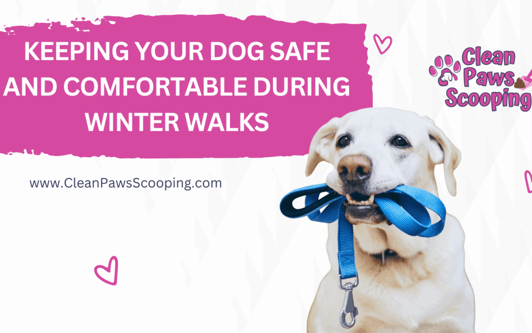 Keeping Your Dog Safe and Comfortable During Winter Walks