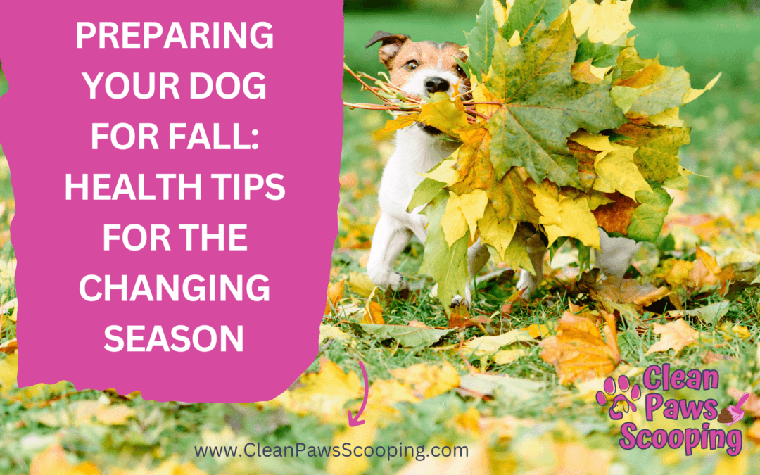 Preparing Your Dog for Fall Health Tips for the Changing Season