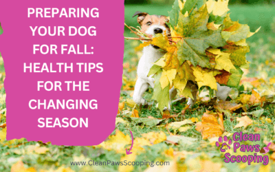 Preparing Your Dog for Fall Health Tips for the Changing Season