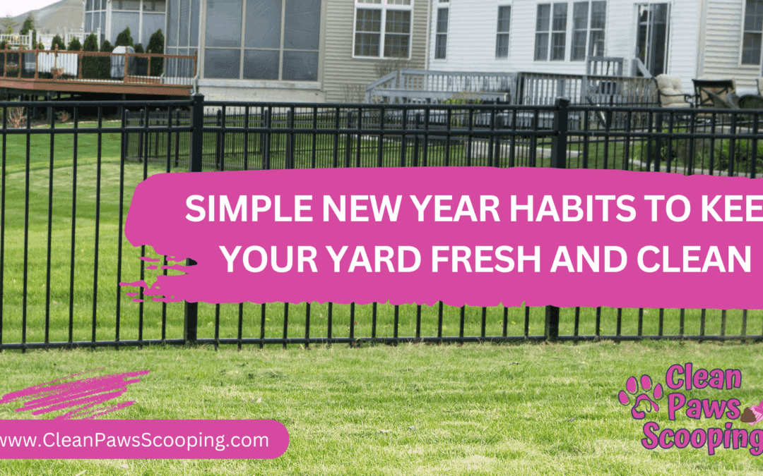 Simple New Year Habits to Keep Your Yard Fresh and Clean