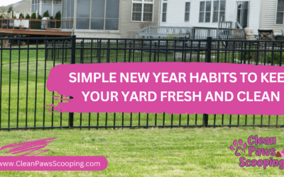 Simple New Year Habits to Keep Your Yard Fresh and Clean