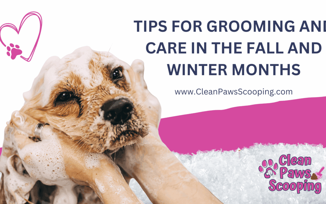 Tips for Grooming and Care in the Fall and Winter Months