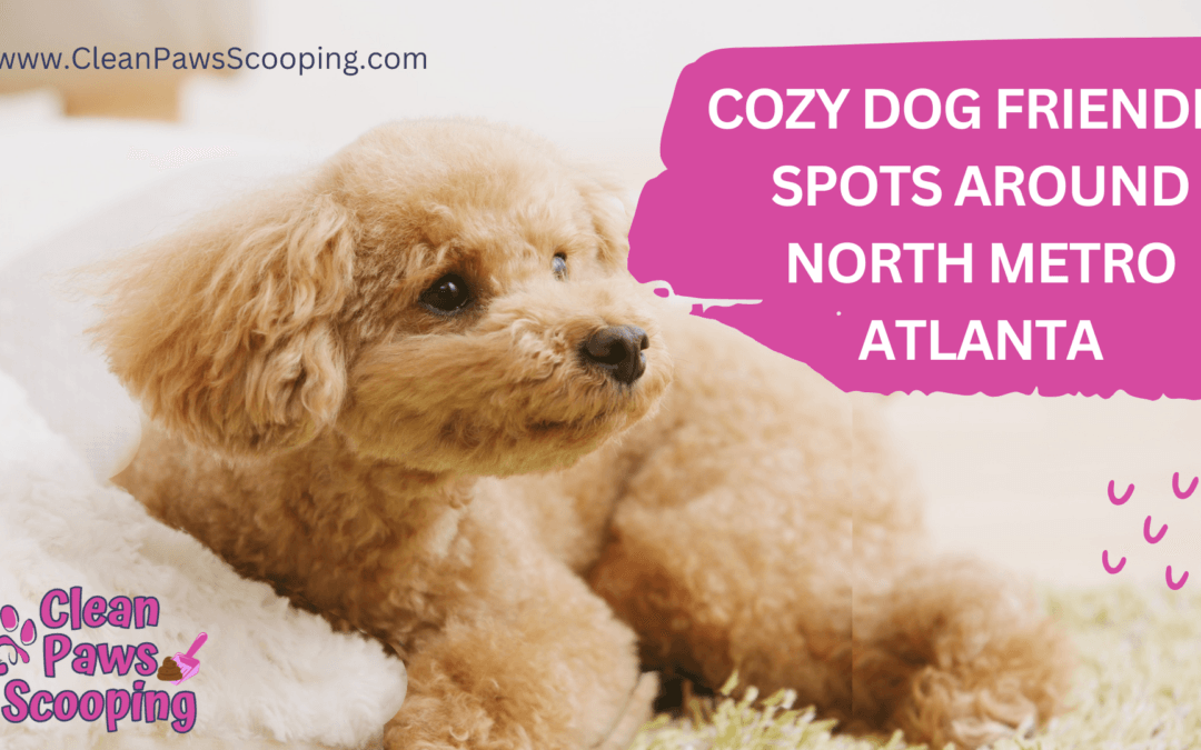 Cozy Dog-Friendly Spots Around North Metro Atlanta