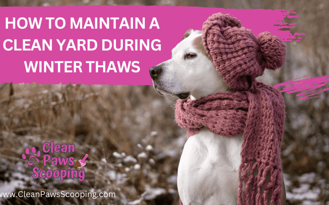 How to Maintain a Clean Yard During Winter Thaws