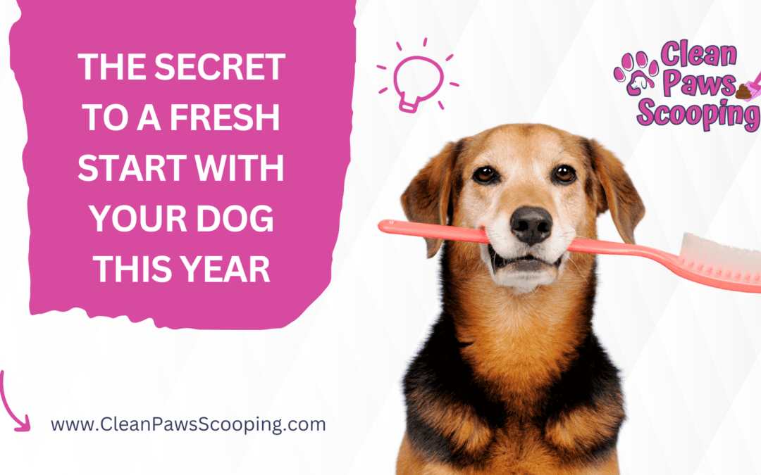 The Secret to a Fresh Start with Your Dog This Year