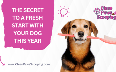 The Secret to a Fresh Start with Your Dog This Year