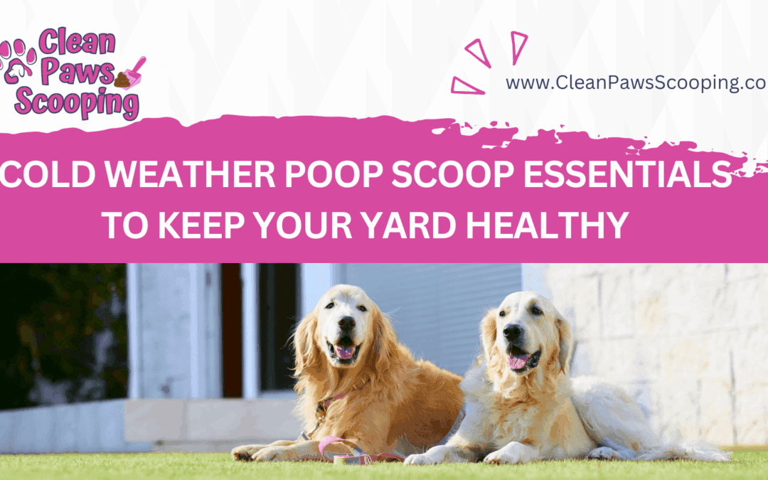 Cold Weather Poop Scoop Essentials to Keep Your Yard Healthy