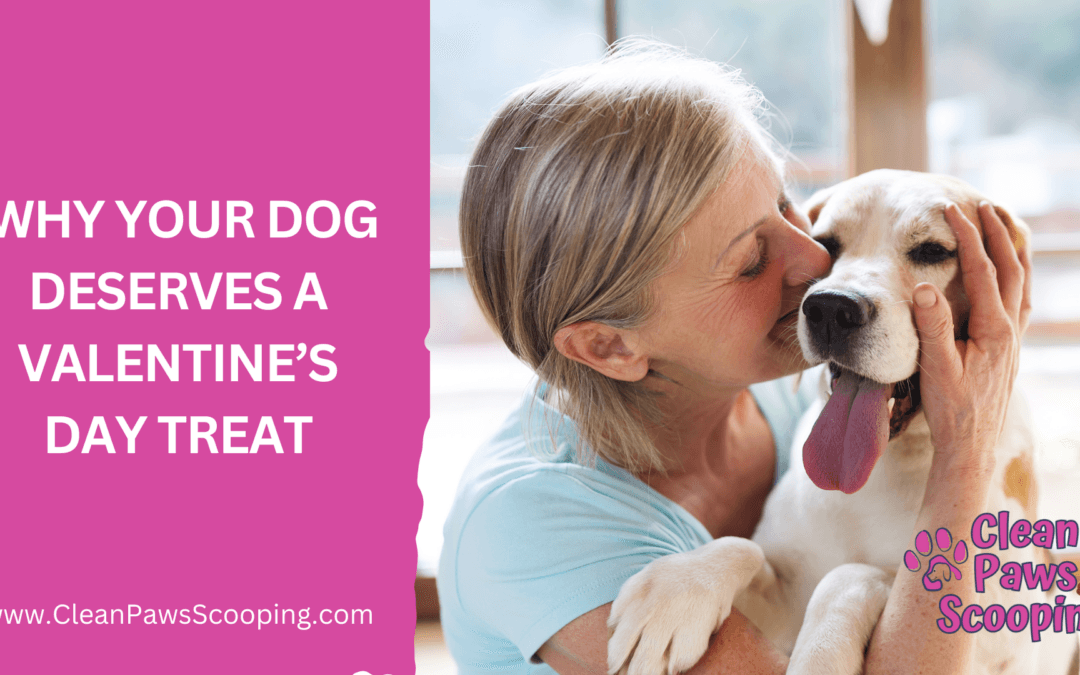 Why Your Dog Deserves a Valentine’s Day Treat