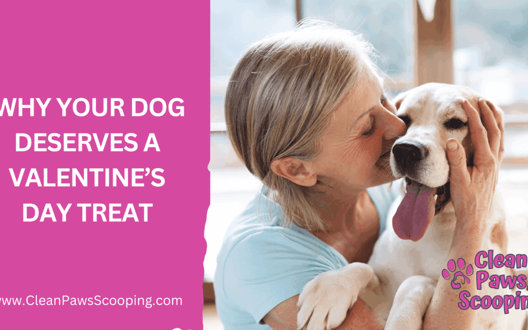 Why Your Dog Deserves a Valentine’s Day Treat