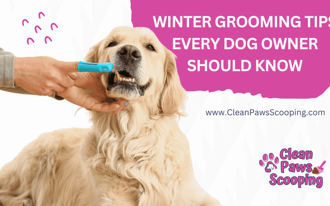 Winter Grooming Tips Every Dog Owner Should Know