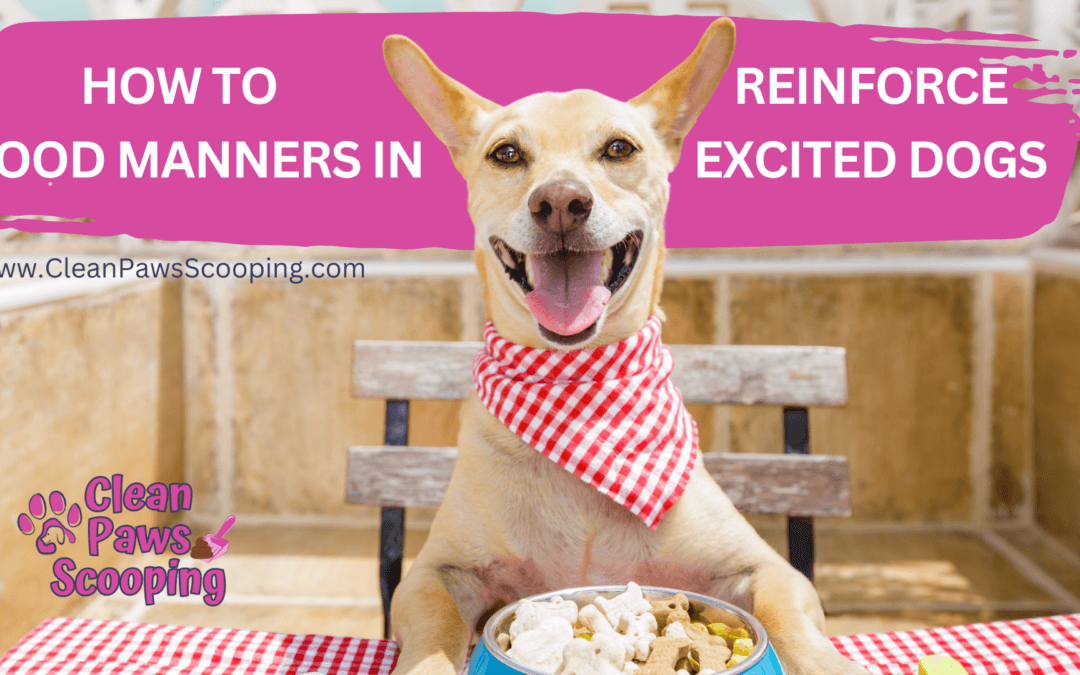 How to Reinforce Good Manners in Excited Dogs