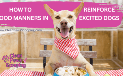 How to Reinforce Good Manners in Excited Dogs