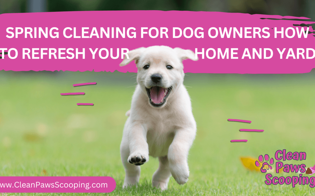 Spring Cleaning for Dog Owners How to Refresh Your Home and Yard