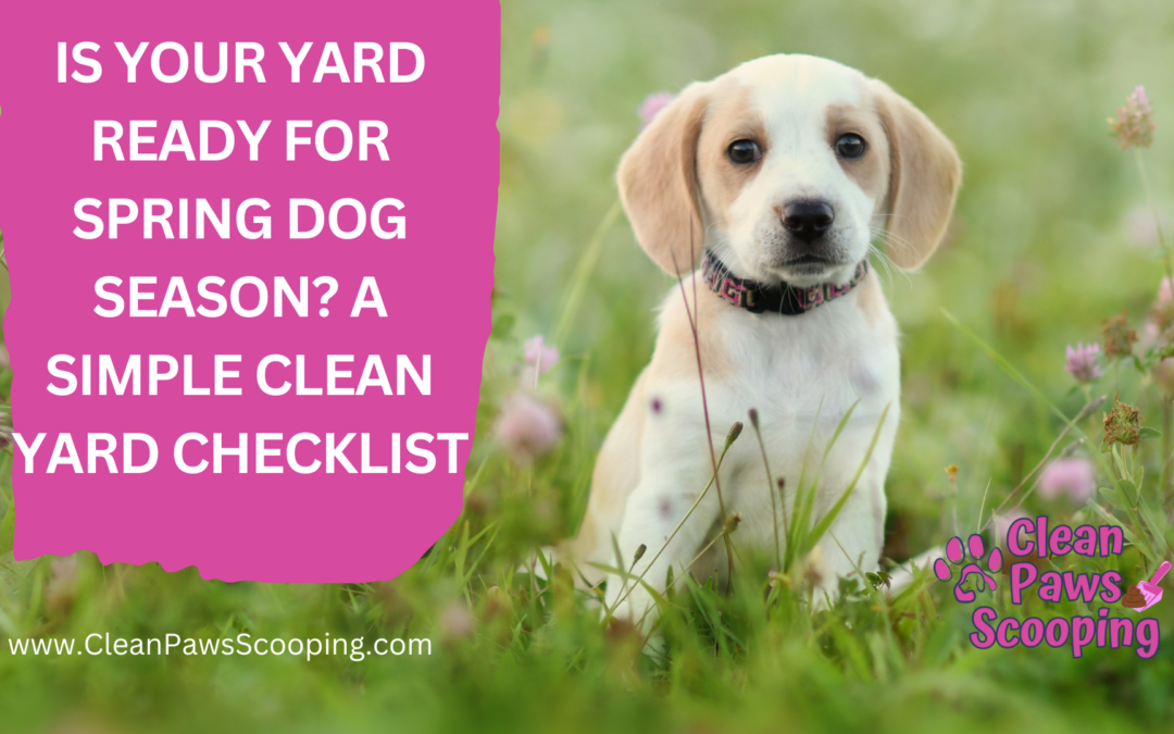 Is Your Yard Ready for Spring Dog Season A Simple Clean Yard Checklist