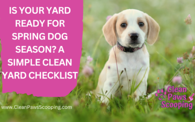 Is Your Yard Ready for Spring Dog Season A Simple Clean Yard Checklist