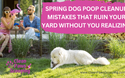 Spring Dog Poop Cleanup Mistakes That Ruin Your Yard Without You Realizing