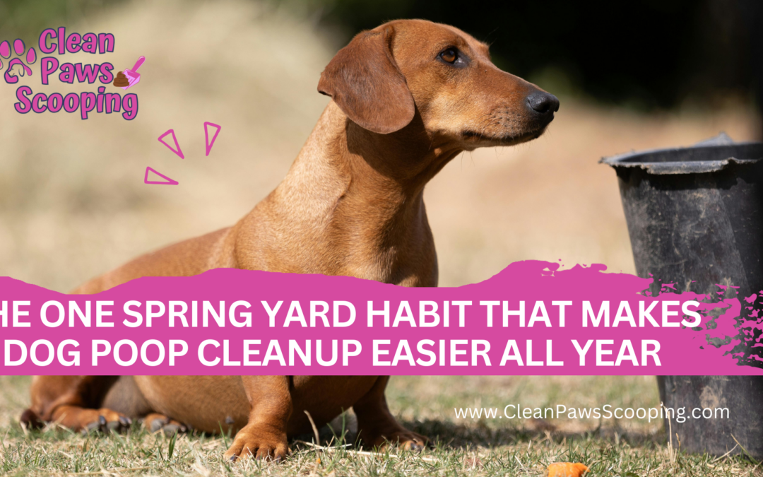 The One Spring Yard Habit That Makes Dog Poop Cleanup Easier All Year