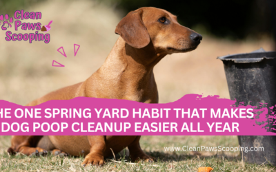 The One Spring Yard Habit That Makes Dog Poop Cleanup Easier All Year