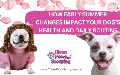 How Early Summer Changes Impact Your Dog’s Health and Daily Routine