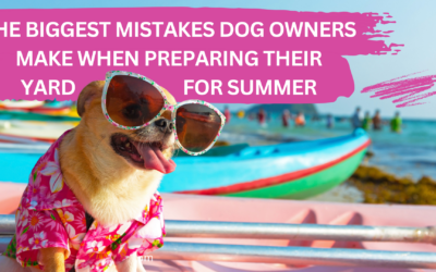 The Biggest Mistakes Dog Owners Make When Preparing Their Yard for Summer