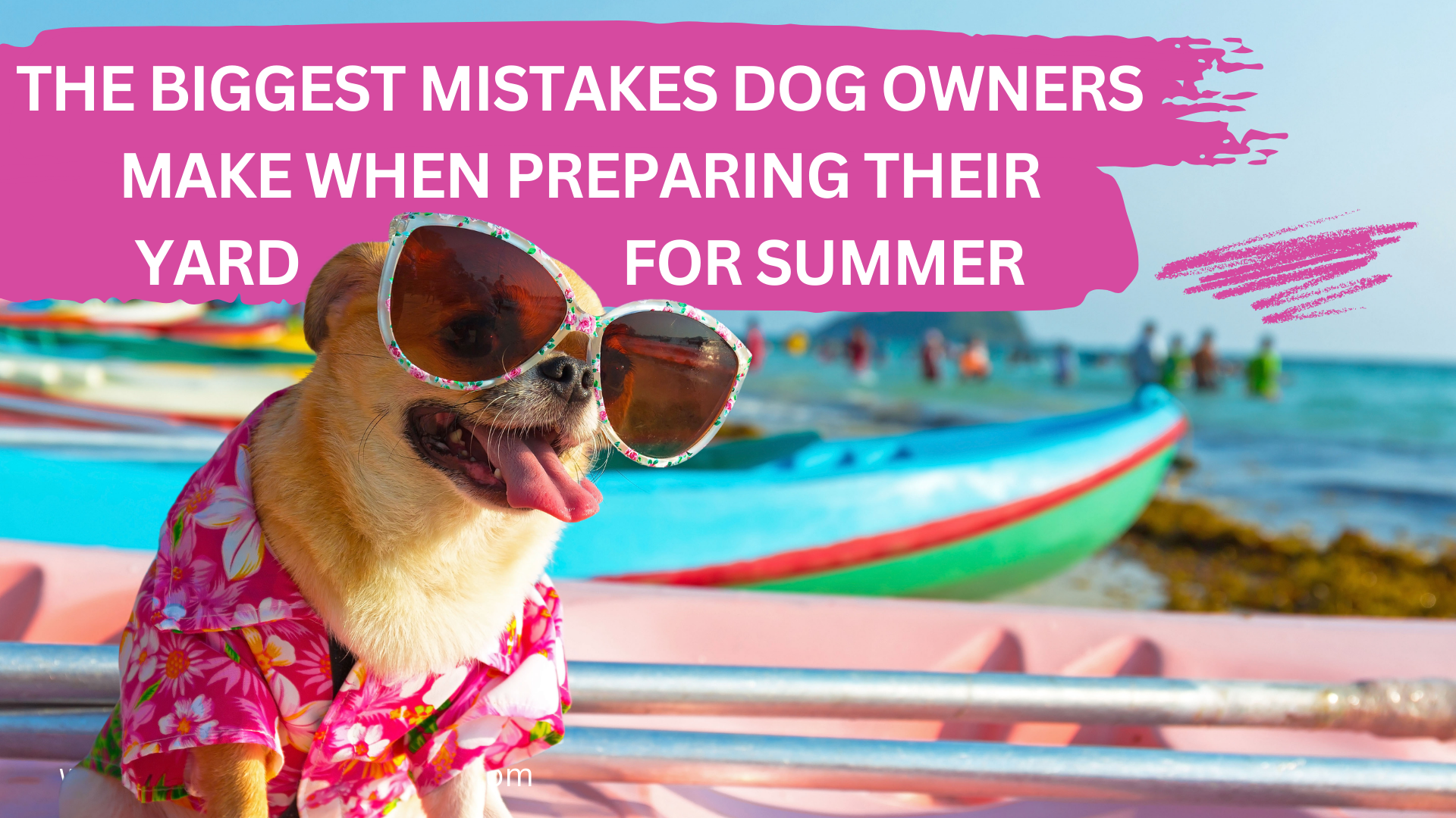The_Biggest_Mistakes_Dog_Owners_Make_When_Preparing_Their_Yard_for_Summer (1)