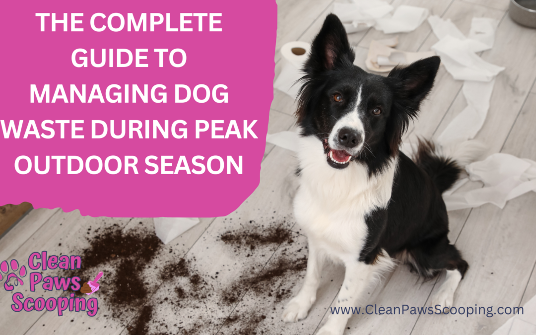 The Complete Guide to Managing Dog Waste During Peak Outdoor Season