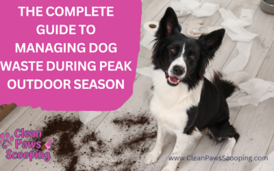 The Complete Guide to Managing Dog Waste During Peak Outdoor Season