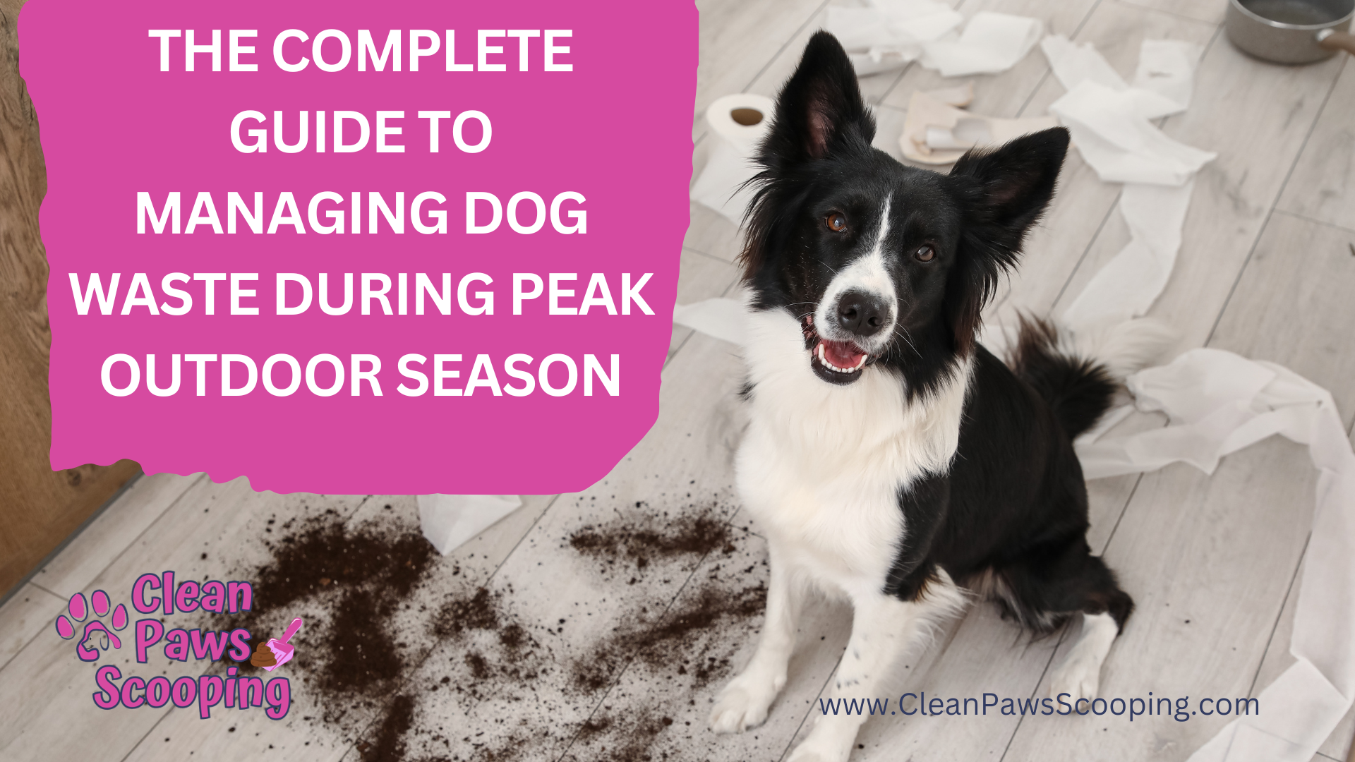 The_Complete_Guide_to_Managing_Dog_Waste_During_Peak_Outdoor_Season
